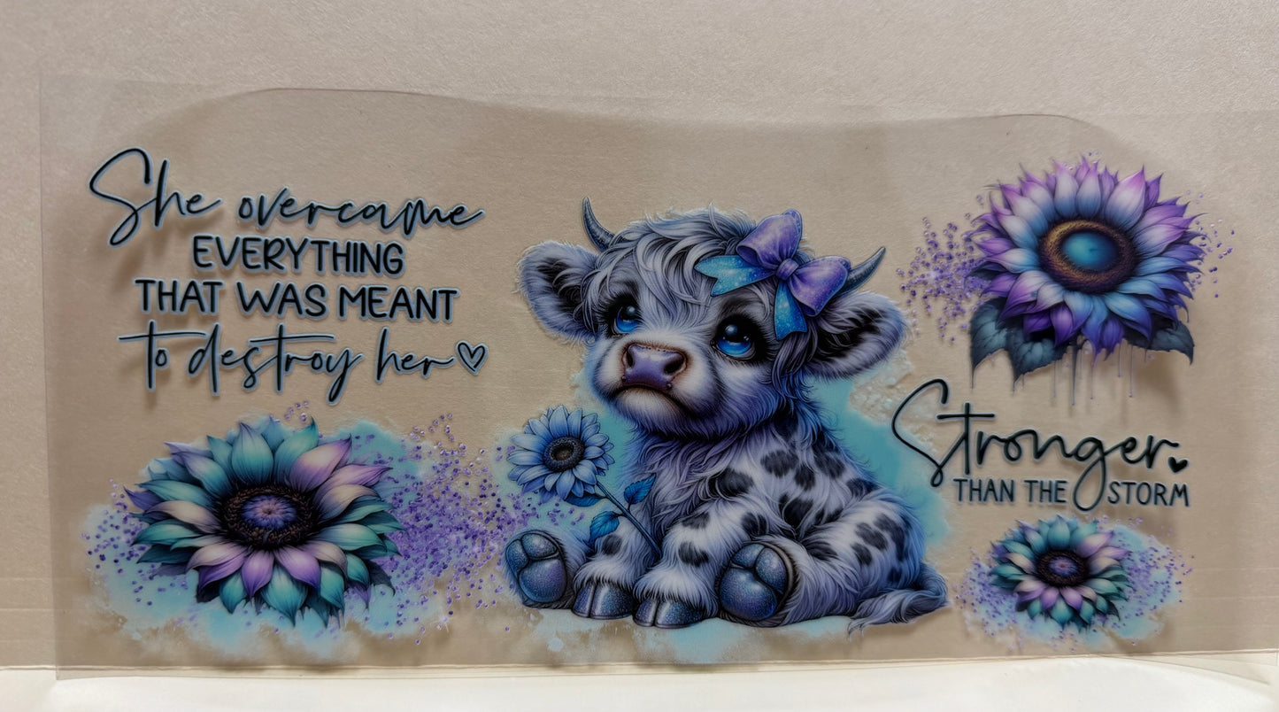 Stronger cow
