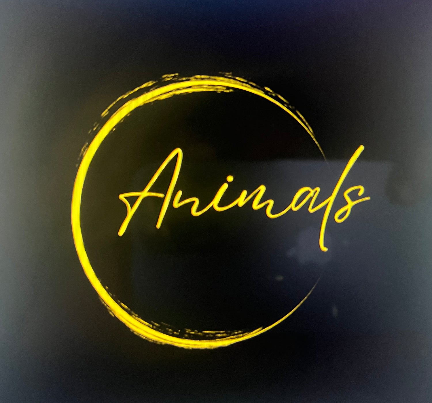 Animals
