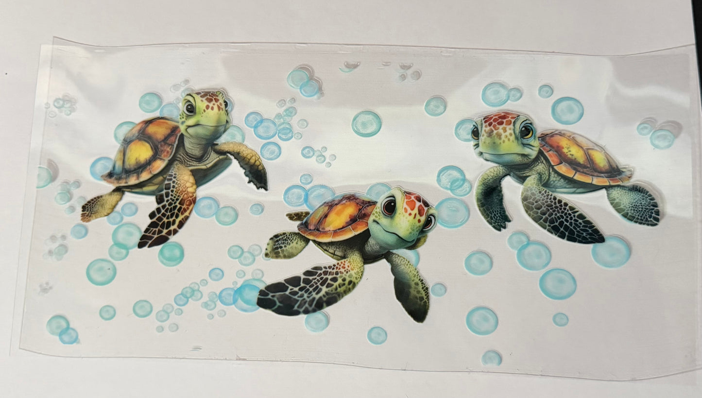 Baby turtle