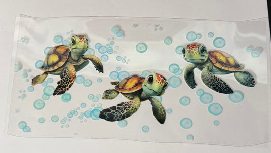 Baby turtle