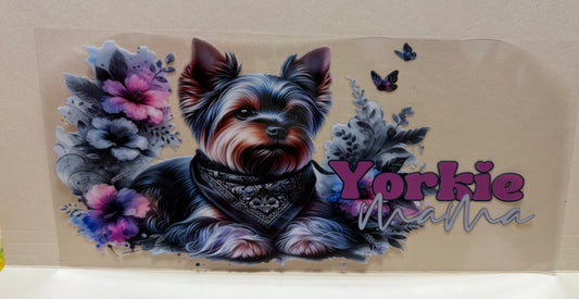 Yorkie mama
