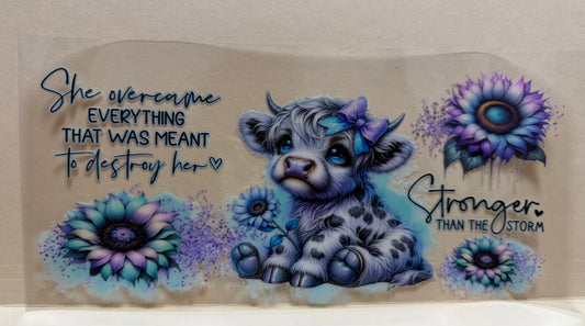 Stronger cow