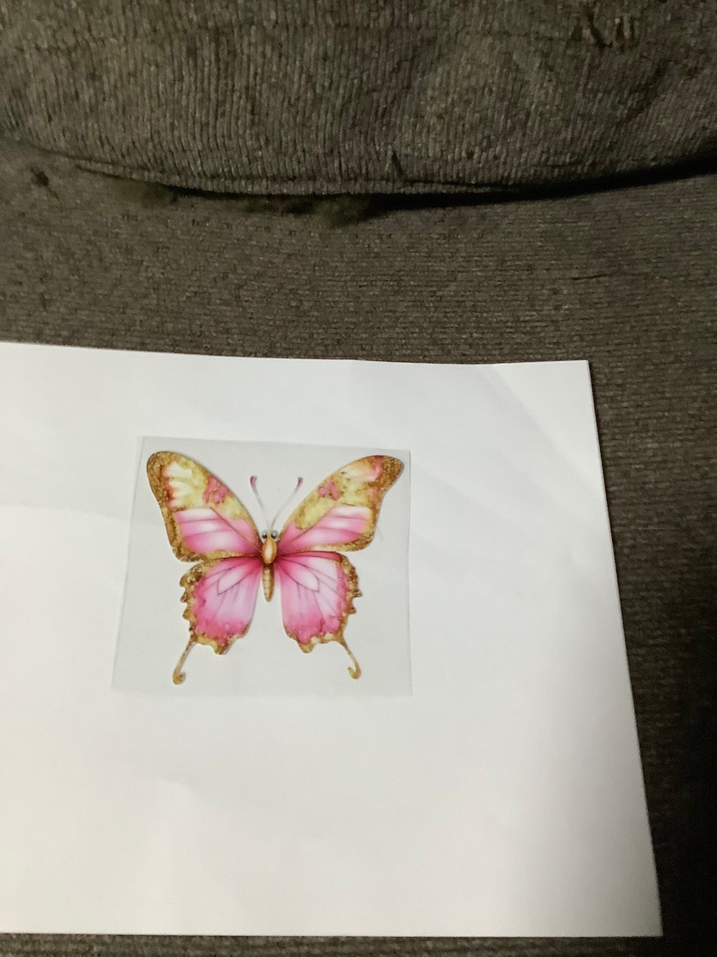 Butterfly